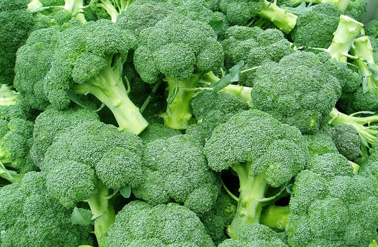 Топ-15 продуктов, которые продлевают молодость