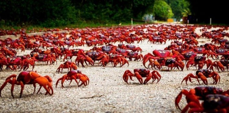 55 уникальных фото, которые нужно увидеть хоть раз в жизни