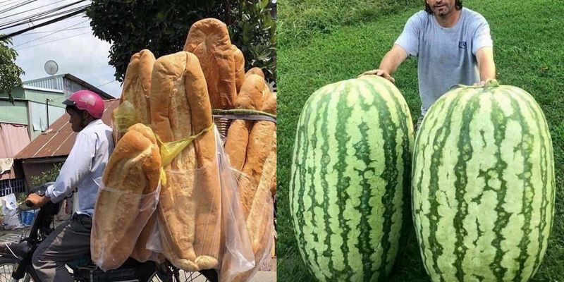 вещи большого размера